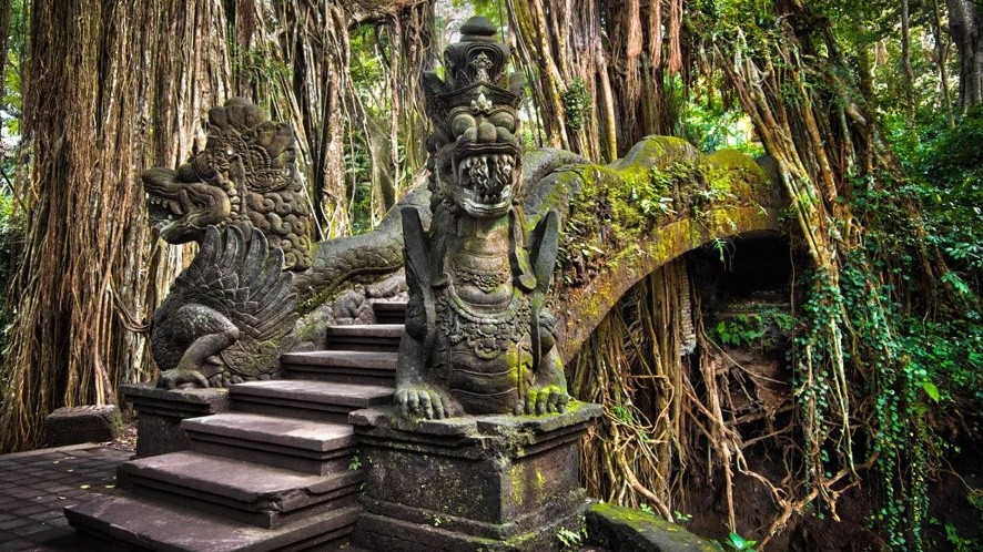 Ubud Tour